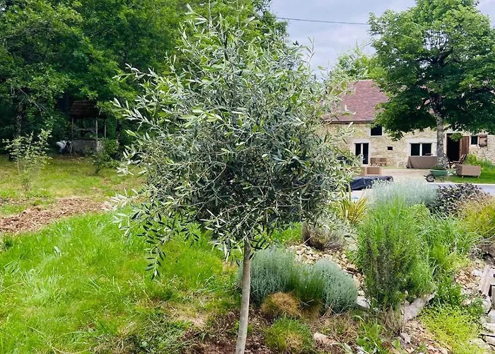 Mas D'Oliu Havre De Paix Avec Piscine Et Vue Pres De Martel